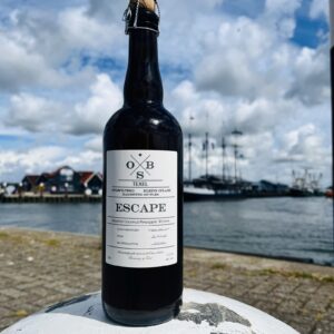 https://oldskilltexel.nl/wp-content/uploads/2026/06/IMG_6571-300x300.jpeg